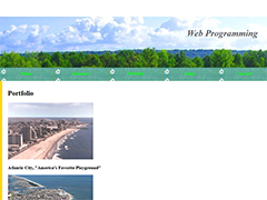 Web programming photo